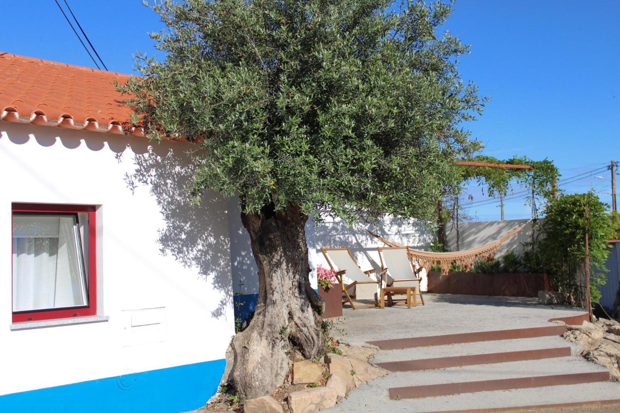 فيلا Sao Bras Do Regedouro - Turismo Na Aldeia ايفورا المظهر الخارجي الصورة